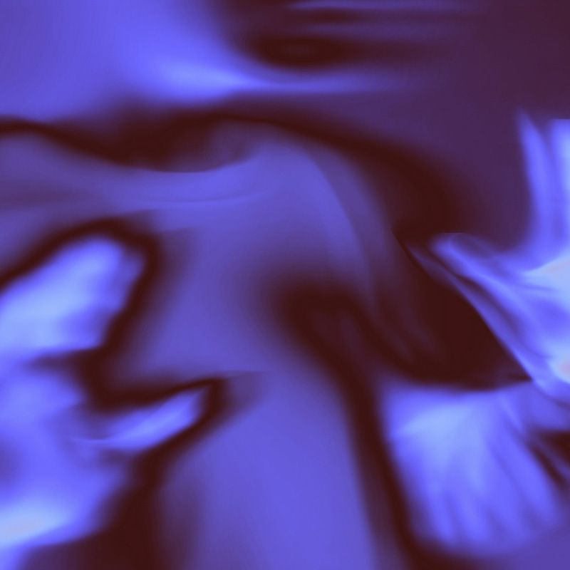 Scroll Animation