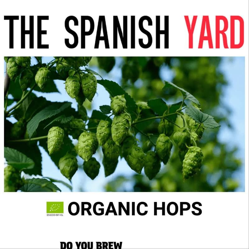 The Spanish Yard